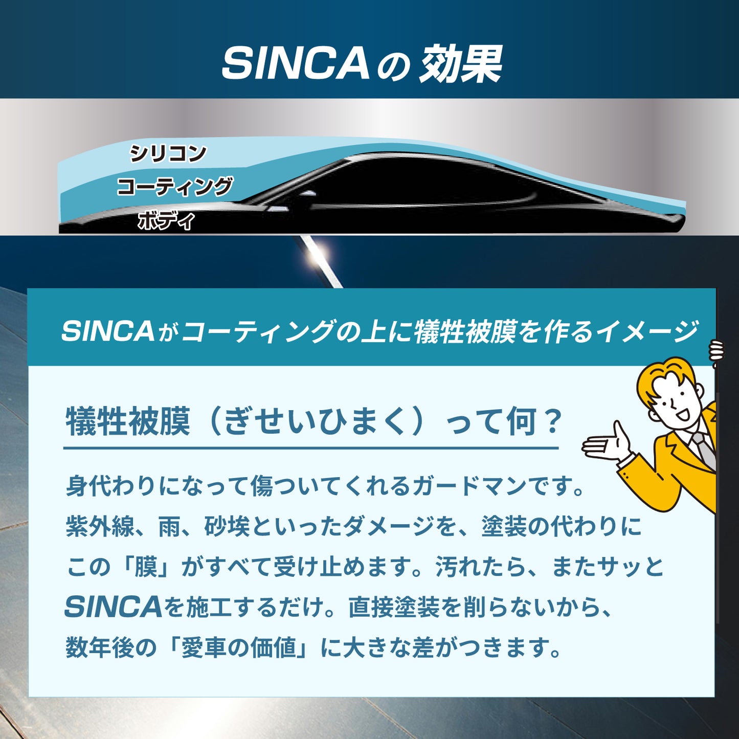 SINCA(シンカ)セット専用クロス2枚付
